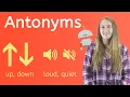 What are Antonyms
