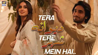 tera deewana tere shehr mein hai burnsroadkayromeojuliet iqraaziz hamzasohail