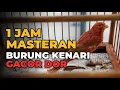 Download Lagu MASTERAN GACOR DOR 1 JAM