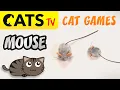 Download Lagu CAT GAMES 😻 Mice chasing 🐭 4K  [CATS TV] Videos for cats to watch 🔊 3D Sound