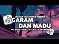 Download Lagu DJ SAKIT DADAKU KU MULAI MERINDU || DJ GARAM DAN MADU VERSI KOPLO REVERB VIRAL TIKTOK TERBARU 2025