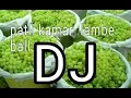 Download Lagu Patli kamar lambe ball dj mix song