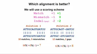 Quantitative Biological Research with Python - Lesson 5 Lecture