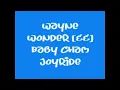 Wayne Wonder and Baby Cham - Joy Ride (lyrics)