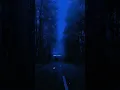 Download Lagu NIGHT CHANGES || SLOWED REVERB || AUDIO EDIT || WHATSAPP STATUS || #viral #trending  #fyp #ytshorts