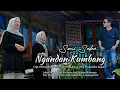 Download Lagu Ngandan Kumbang || Cipt. Erwinardho Ronni's || Soni Saka || Dipopulerkan oleh Erwinardho Ronni's