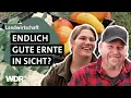 Drei Jahre harte Arbeit – kommt die Kehrtwende auf dem Biohof? | Unsere eigene Farm | E03 | WDR