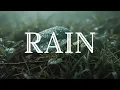 Download Lagu Peaceful Relaxing Music 🌿 Healing Violin \u0026 Piano for Meditation \u0026 Inner Peace