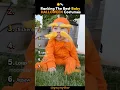 Ranking The Best BABY Halloween Costumes