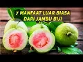 Inilah 7 Manfaat Jambu Biji Merah bagi kesehatan