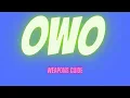 OwO a Guide to Weapons