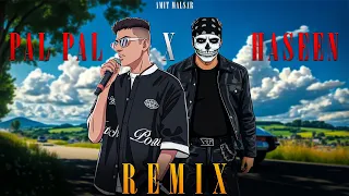 talwiinder x afusic pal pal x haseen tera mera afsana x pal pal