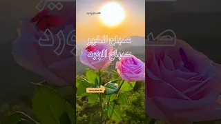 صباح الخير صباح الورد مساء الخير مساء الفل دعاء الصباح دعاء المساء دعاء صلوا على سيدنا محمد ﷺ 