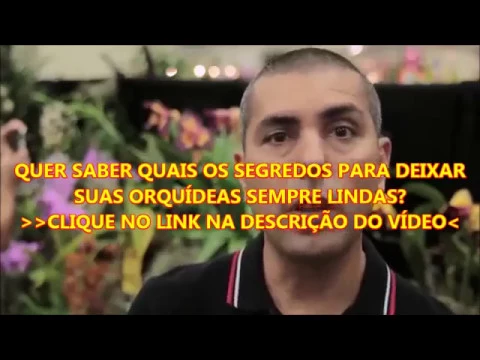 COMO CUIDAR DE ORQUIDEAS BAILARINA
