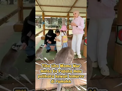 Mama Nur mau pelihara hewan lemur dirumah,reaksi papata bikin salfok #attahalilintar #attaaurel