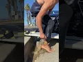 Download Lagu Is it Gross to Have Pee Inside Your Wetsuit? #gross #pee #wetsuit #surf #surfing