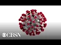 CDC advisers hold vote on how COVID-19 vaccines should be distributed