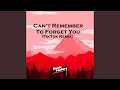 Download Lagu Can’t Remember To Forget You (TikTok) - Remix