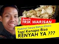 Download Lagu Part 13- Trik Keripik Singkong Renyah TANPA KAPUR SIRIH