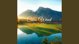 Download Calm Wind MP3