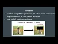 Stride Random Erasing Augmentation