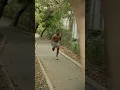Download Lagu 2 Ghode🐎 || Ankit Baiyanpuria Workout