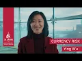 Understanding Currency Risk Ying Wu