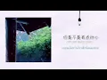 [THAISUB] 你是不是有點動心 - Julia Wu 吳卓源