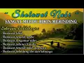 Download Lagu SHOLAWAT NABI,SHOLAWAT JIBRIL PENARIK REZEKI PALING MUSTAJAB,SHOLAWAT MERDU PENENANG HATI \u0026 FIKIRAN