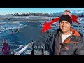 Exploring a Beached 47ft Fin Whale Up Close with a Giant Anchorage Alaska 2024