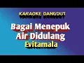 Download Lagu Bagai Menepuk Air  Didulang  Evitamala Karaoke Tanpa Vokal@DEDIROSADI
