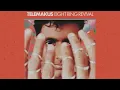 Telemakus feat. Flying Lotus & Miguel Atwood-Ferguson - The Center Eye