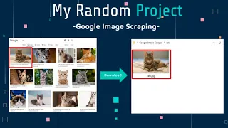 Python Google Image Web Scraping