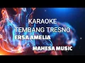 Download Lagu TEMBANG TRESNO - KARAOKE  - ERSA AMELIA MAHESA LIVE TREMBULREJO 2024 #karaoke #cover #campursari