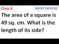 The area of a square is 49 sq cm What is the length of its side CBSE Class 8 maths