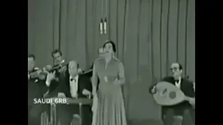 لسه فاكر  أم كلثوم  مقطع  حاله واتس  واتساب دندنها