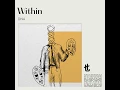 Within (Extended Mix) - DNA (SA)