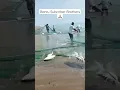 Download Lagu Full jaring ikan besar di pantai😱😱#shorts