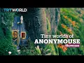 Tiny worlds of AnonyMouse Street Art Showcase