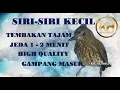 Siri Siri Kecil jeda 1-2 Menit, Tajam Jernih High Quality