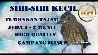 siri siri kecil jeda 1 2 menit tajam jernih high quality