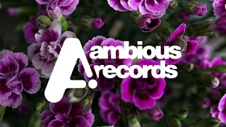 fu dog placid original mix 