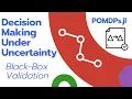 Black-Box Validation Decision Making Under Uncertainty using POMDPs jl