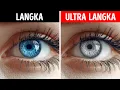 Download Lagu PODCAST: Mengapa Anda Mungkin Belum Pernah Bertemu dengan Seseorang yang Memiliki Mata Abu-Abu