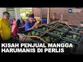 Download Lagu Het verhaal van zoete mangoverkopers in Perlis | MHI (6 mei 2023)