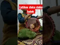 Download Lagu Sluku sluku batok #azzahir #syubbanulmuslimin #majelissholawat