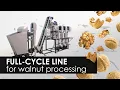 95 automation of walnut processing Industrial line for walnuts