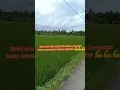 Download Lagu ternyata ini jalan yang bikin adem, pemandangan yang indah#viralshorts #pemandangan @adijaya5554