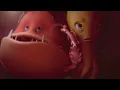 Female eel eats fish D