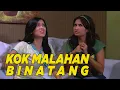 Download Lagu Wah udah kaya kebun binatang aja nih | SKETSA